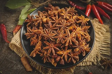 /uploads/ueditor/20250520